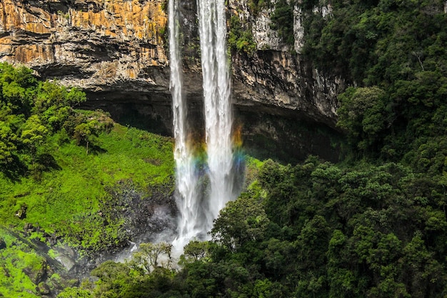 Blick auf einen Wasserfall im Wald