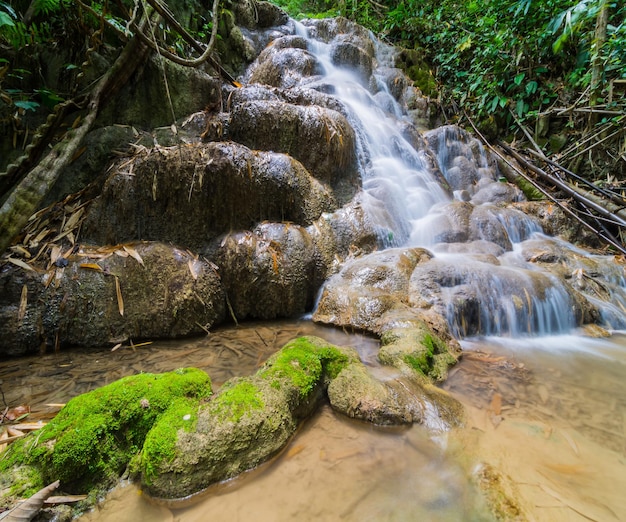 Blick auf einen Wasserfall im Wald