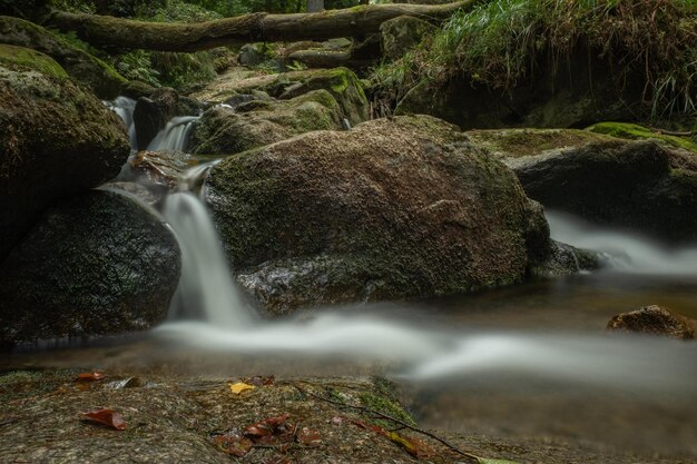 Blick auf einen Wasserfall im Wald