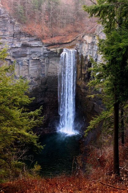 Foto blick auf einen wasserfall im wald