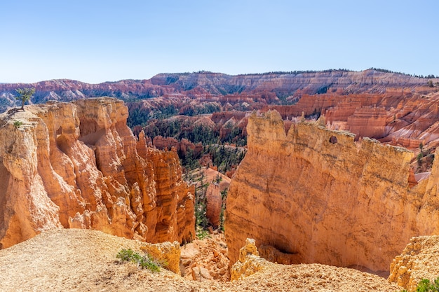 Blick auf erstaunliche Hoodoos-Sandsteinformationen im malerischen Bryce Canyon National Parkon an einem sonnigen Tag. Utah, USA