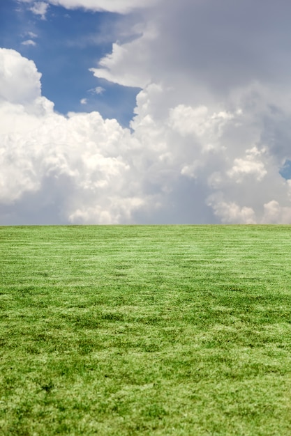 Blick auf grünes Gras und blauen bewölkten Himmel