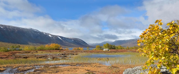 Blick auf herbstfarbene Pflanzen, die am Rand des Wassers mit Berghintergrund in Norwegen wachsen