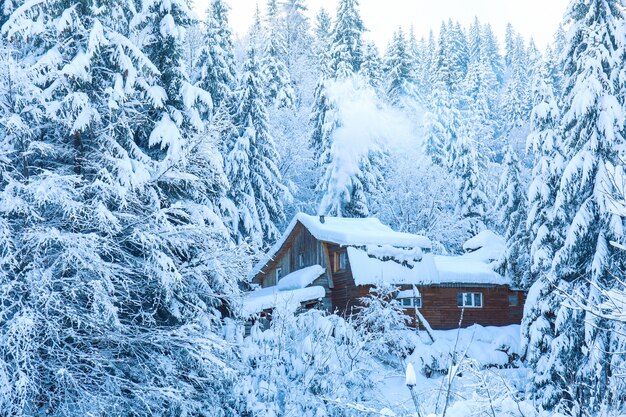 Blick auf Holzhaus im verschneiten Tannenwald