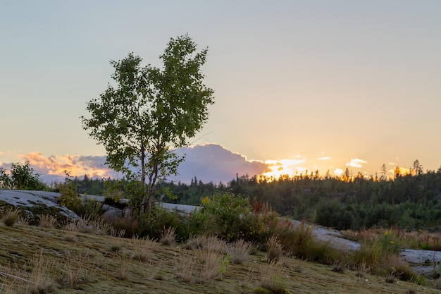 Blick auf Ladoga-Schären bei Sonnenuntergang in der Republik Karelien. Foto in hoher Qualität