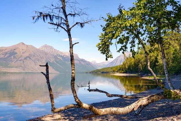 Blick auf Lake McDonald in Montana