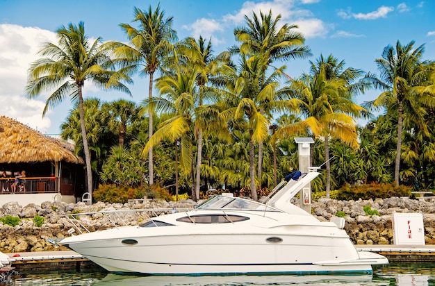 Blick auf luxuriöse Boote und Yachten, die in einem Yachthafen von Miami Beach angedockt sind