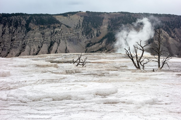 Blick auf Mammoth Hot Springs im Yellowstone-Nationalpark