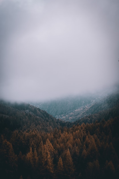 Blick auf neblige Alpenberge im Herbst