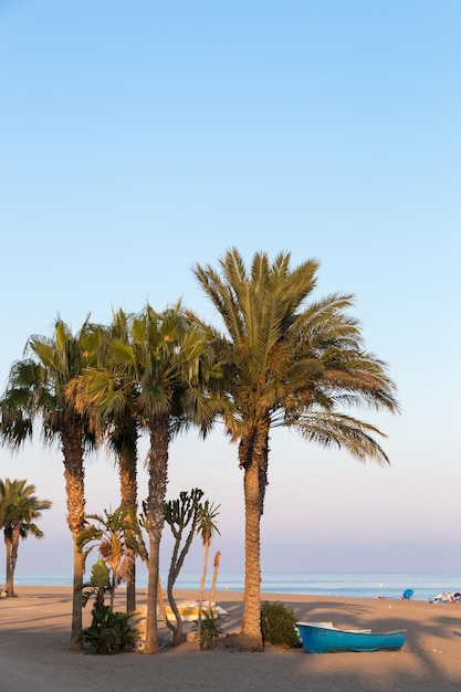 Blick auf Palmen bei Sonnenuntergang am Strand in Carboneras Almeria Spanien