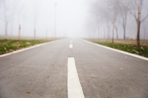 Blick auf Radweg im nebligen Wintertag