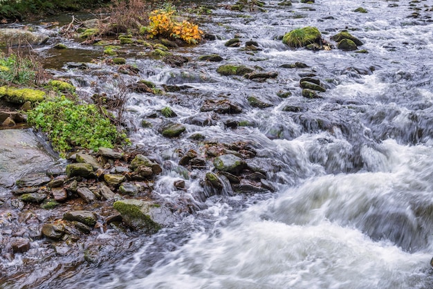 Blick auf schnell fließendes Wasser im East Lyn River