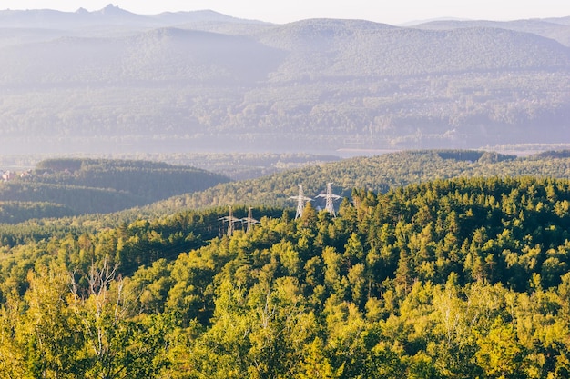 Blick auf Stromleitungen, die durch den Wald führen