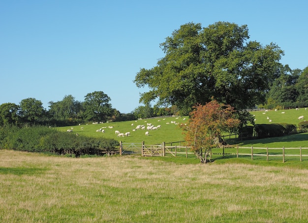 Blick auf Tanworth in Arden