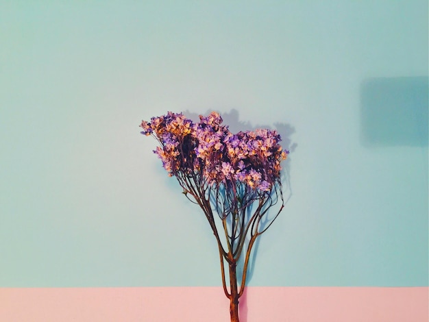 Blick auf trockene Blumen an der Wand