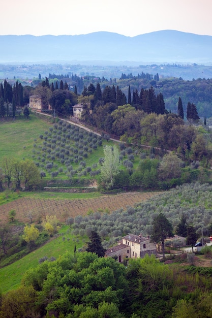 Blick auf typisch toskanische Landschaft und ein Tal mit Weinbergen, in der Provinz Siena. Toskana, Italien