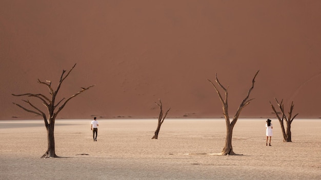 Blick auf versteinerte Kamelakazien im Deadvlei Valley Namibia