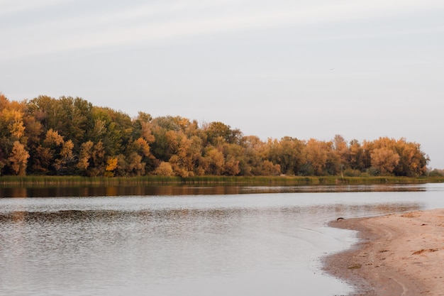 Blick auf Wald und Fluss im Herbst schöner Herbstwald mit leuchtend gelben und orangefarbenen Blättern auf ...