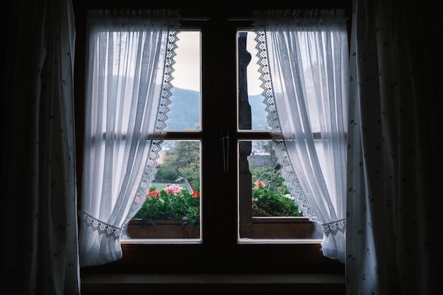 Blick aus dem Fenster auf Geraniumblumen