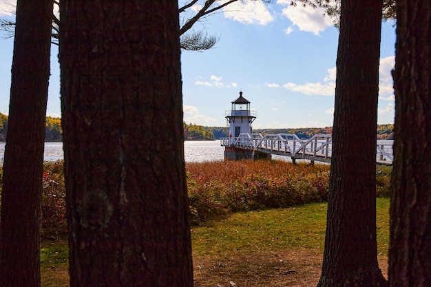 Blick durch dunkle Baumstämme auf den kleinen weißen Maine-Leuchtturm mit roten Pflanzenfeldern