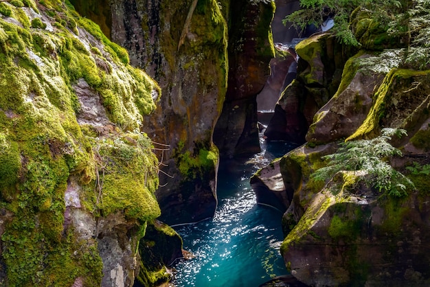 Blick in den Avalanche Creek