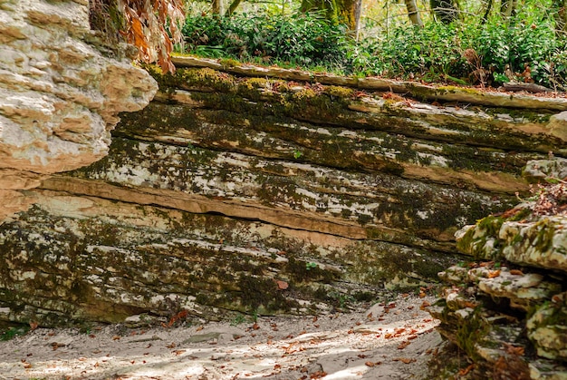 Blick in einen engen, abgelegenen Canyon, natürliches Labyrinth aus geschichtetem Stein mit Vegetation an den Wänden