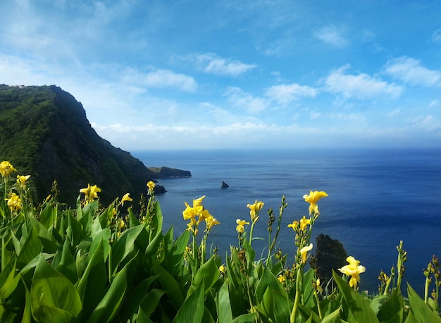 Blick über das Meer in Azoren Portugal