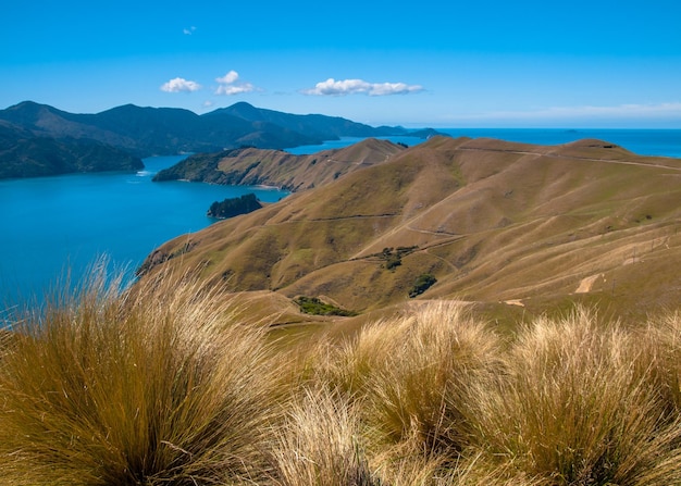 Blick über den French Pass Marlborough Sounds