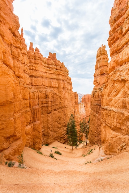 Blick vom Aussichtspunkt des Bryce Canyon National Park