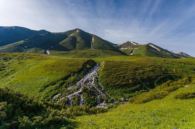 Foto blick vom berg