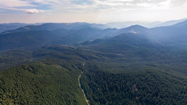 Blick vom Copter auf die mit Wald bewachsenen Berge