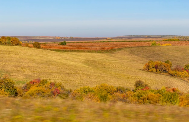 Blick vom fahrenden Auto auf geerntete, gestreifte, mehrfarbige, hügelige Herbstfelder und helle Sträucher