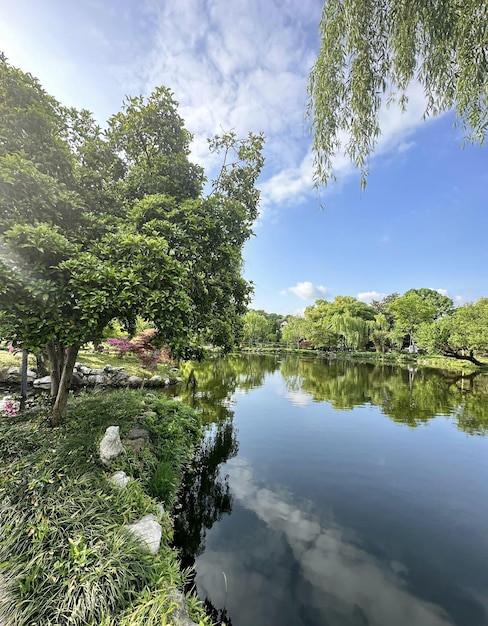 Blick vom Garten auf den See