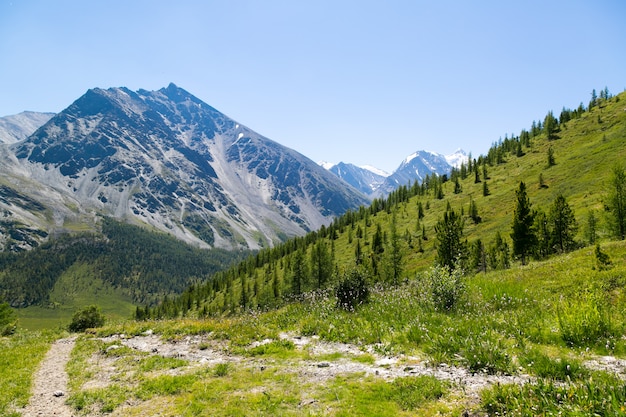 Blick vom Gipfel des Berges.