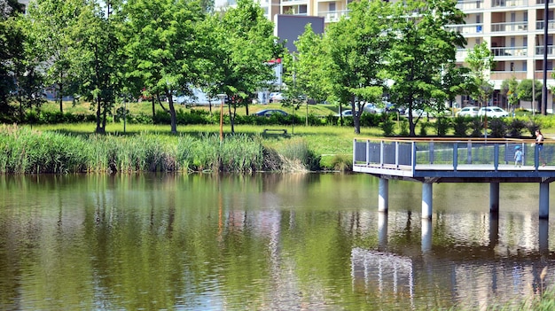 Blick vom Grundstück auf den See