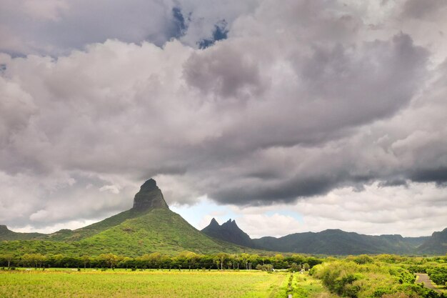 Blick von der Höhe der gesäten Felder auf der Insel Mauritius.