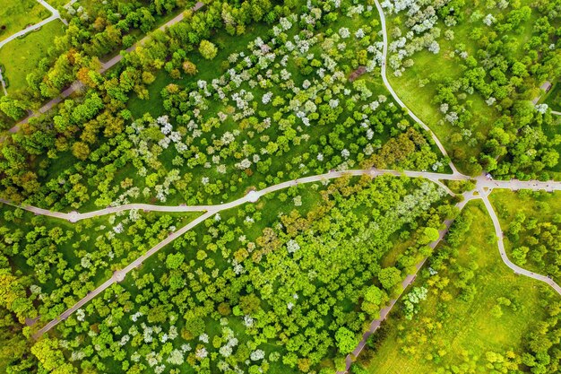 Blick von der Höhe des Loshitsky-Parks in Minsk