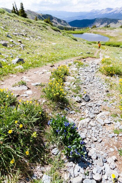 Blick von der Spitze des Cottonwood Pass, Colorado.