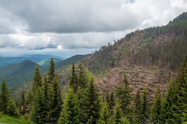 Blick von der Transbucegi-Straße in Bucegi-Bergen, Rumänien, bewölkter Frühlingstag