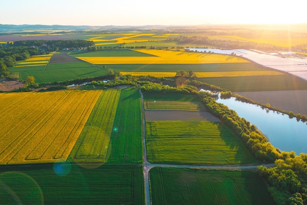 Blick von einer Höhe auf grüne Felder und Bäume Sommernatur