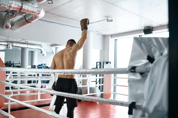 Blick von hinten auf hemdlosen muskulösen Boxer mit erhobener Hand und Boxhandschuh in Siegesgeste