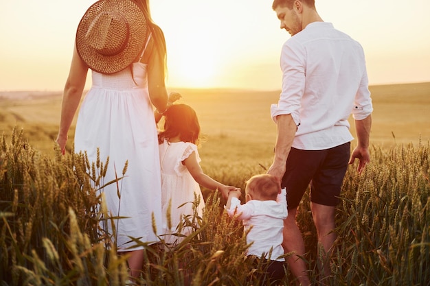 Blick von hinten Vierköpfige Familie, die an sonnigen Sommertagen Freizeit auf dem Feld verbringt