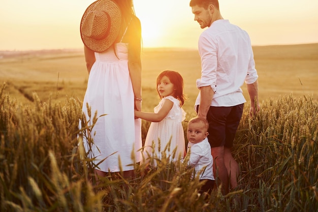 Blick von hinten Vierköpfige Familie, die an sonnigen Sommertagen Freizeit auf dem Feld verbringt