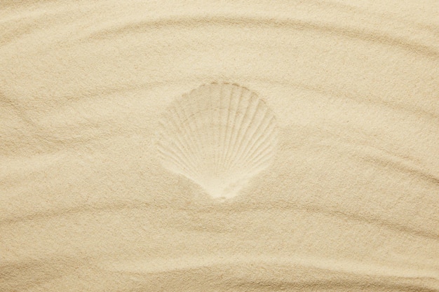 Blick von oben auf den Sandstrand mit Muscheldruck im Sommer