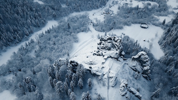 Blick von oben auf den Waldfluss im Winter. das Konzept des Wintertourismus.