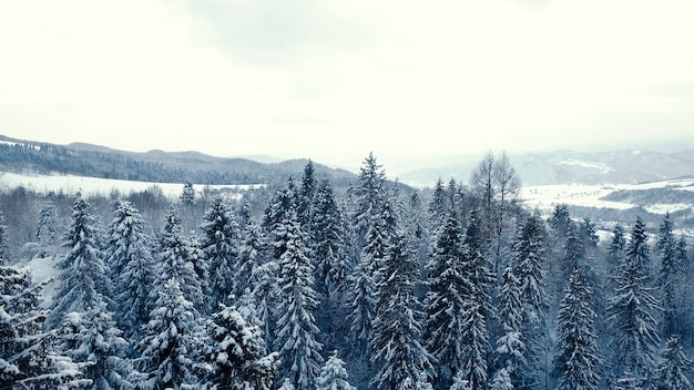 Blick von oben auf den Waldfluss im Winter. das Konzept des Wintertourismus.