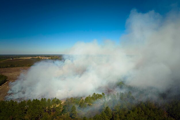 Blick von oben auf dichten Rauch aus Wald und Feld in Brand, der die Luft verschmutzt Konzept der Naturkatastrophe