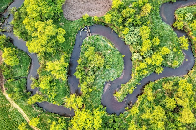 Blick von oben auf einen kurvenreichen Fluss und Bäume Foto