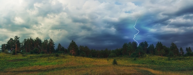 Foto blitzeinschläge im wald. epische landschaft vor dem hintergrund eines drohenden sturms. dramatische wolken.