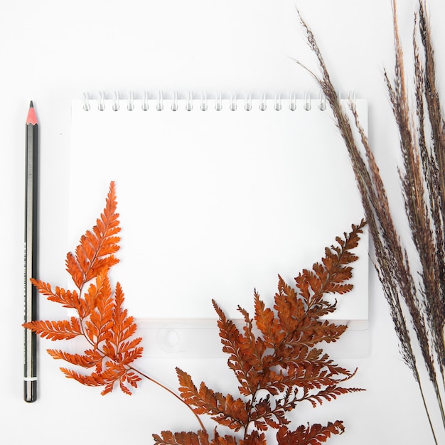 Bloc de notas en blanco sobre fondo blanco decorado con composición de plantas otoñales Vista superior plana endecha